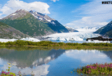 alaska glaciers