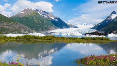 alaska glaciers