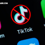 tiktok ban petition