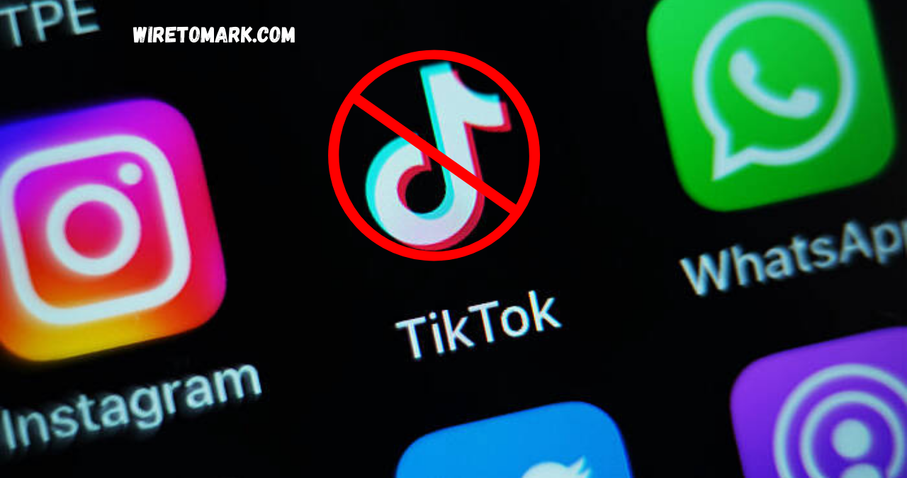 tiktok ban petition