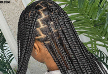 medium knotless braids