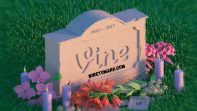 why did vine shut down