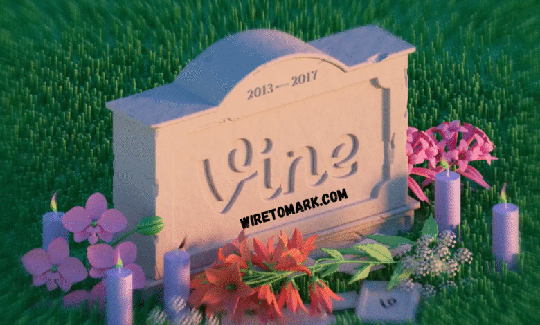why did vine shut down