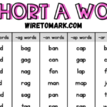 cvc words list