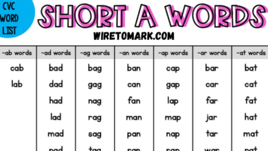cvc words list